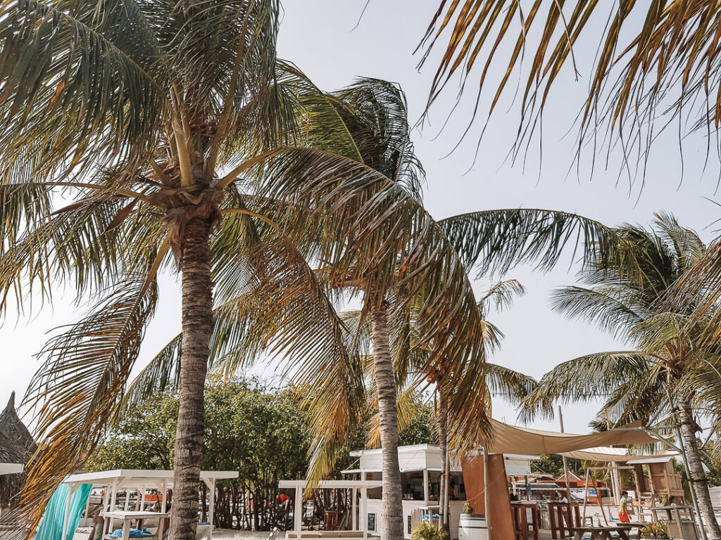 Jan Thiel Beach, de mooiste stranden van Curaçao YourTravelReporter.nl