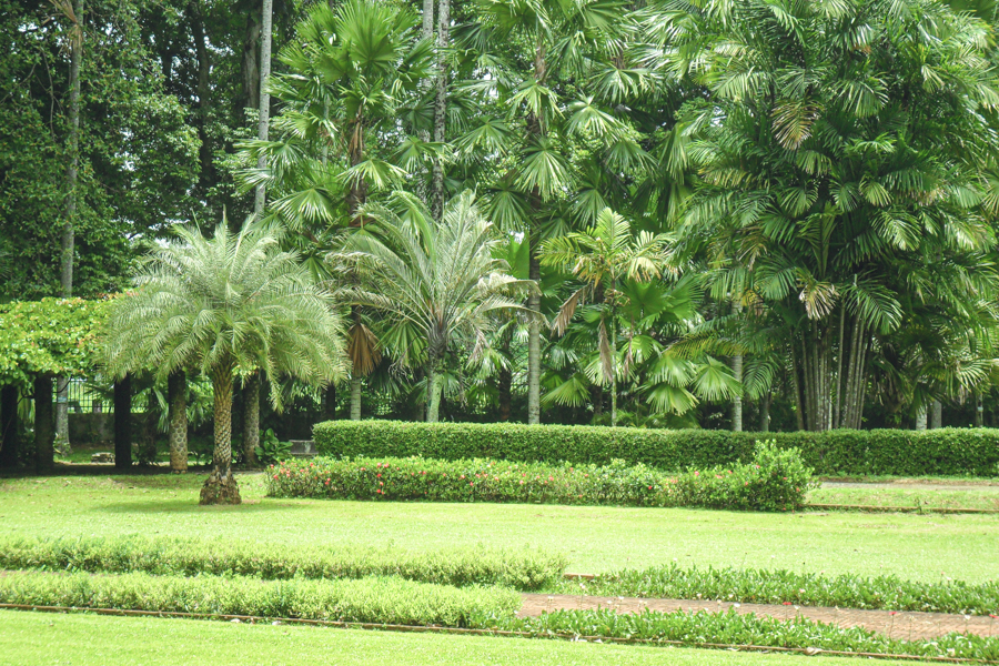 Green-Park-Borobudur-Java